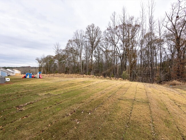 Building Photo - 1048 Old Trade St