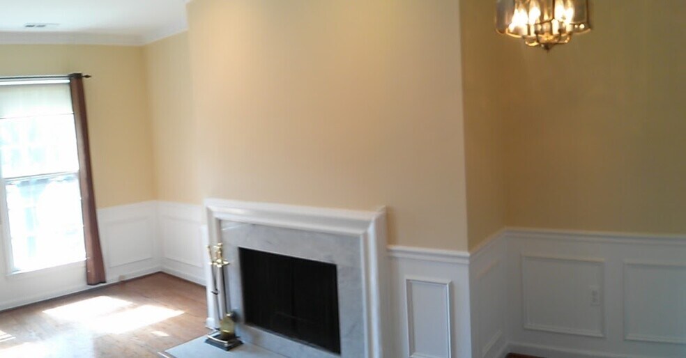 Wood Burning Firelplace - 236 Maryland Ave NE