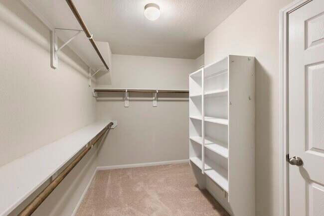 Building Photo - 10158 N Whimbrel Cir