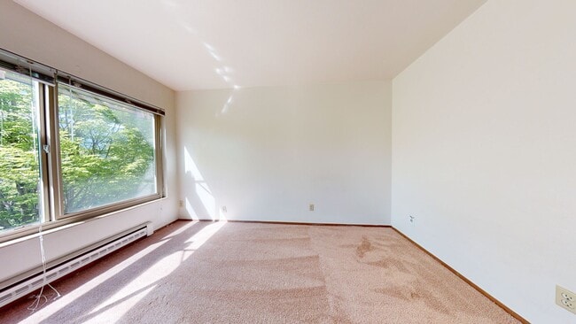 Interior Photo - Coho