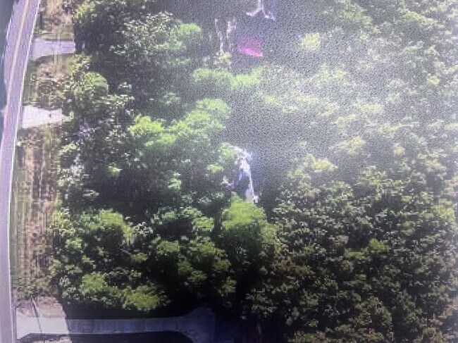 Building Photo - 44 Kirkland Dr