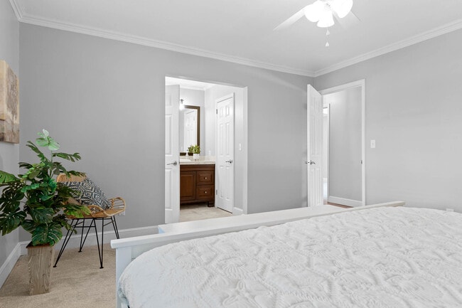 Building Photo - 2483 Shenandoah Dr