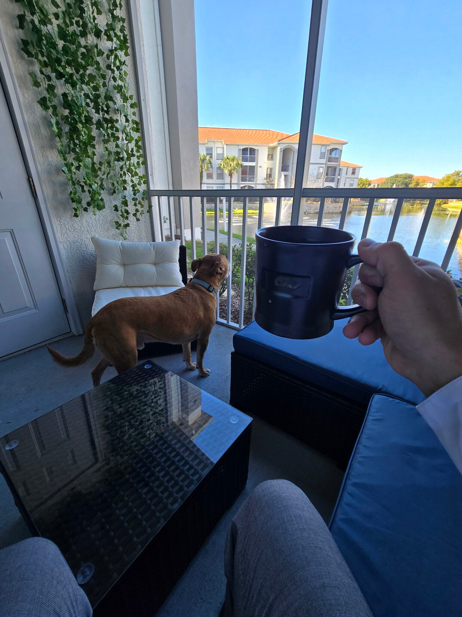 Building Photo - 2615 Maitland Crossing Way