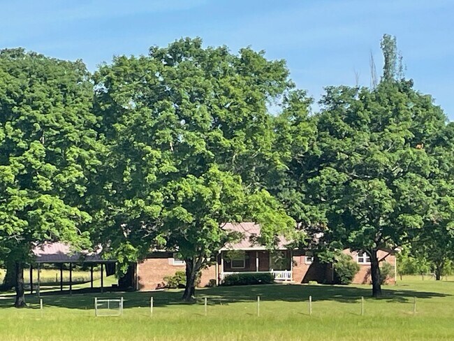 Primary Photo - SINGLE FAMILY HOME