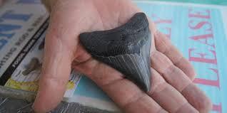 Building Photo - 428 Park Ln Dr