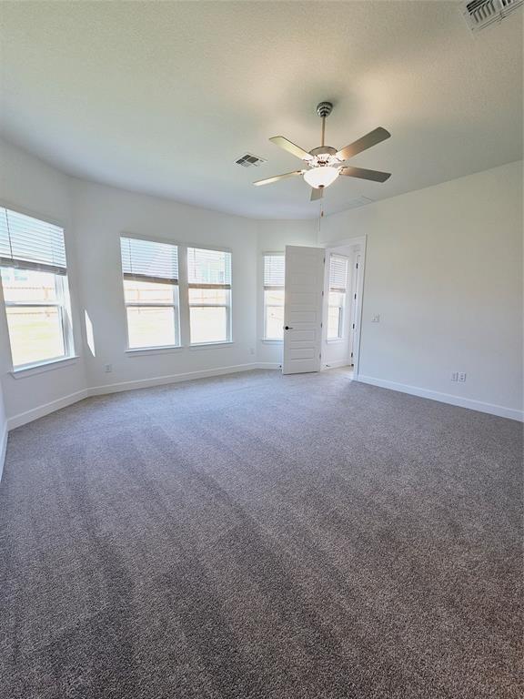 Building Photo - 4505 Cool Gray Cv