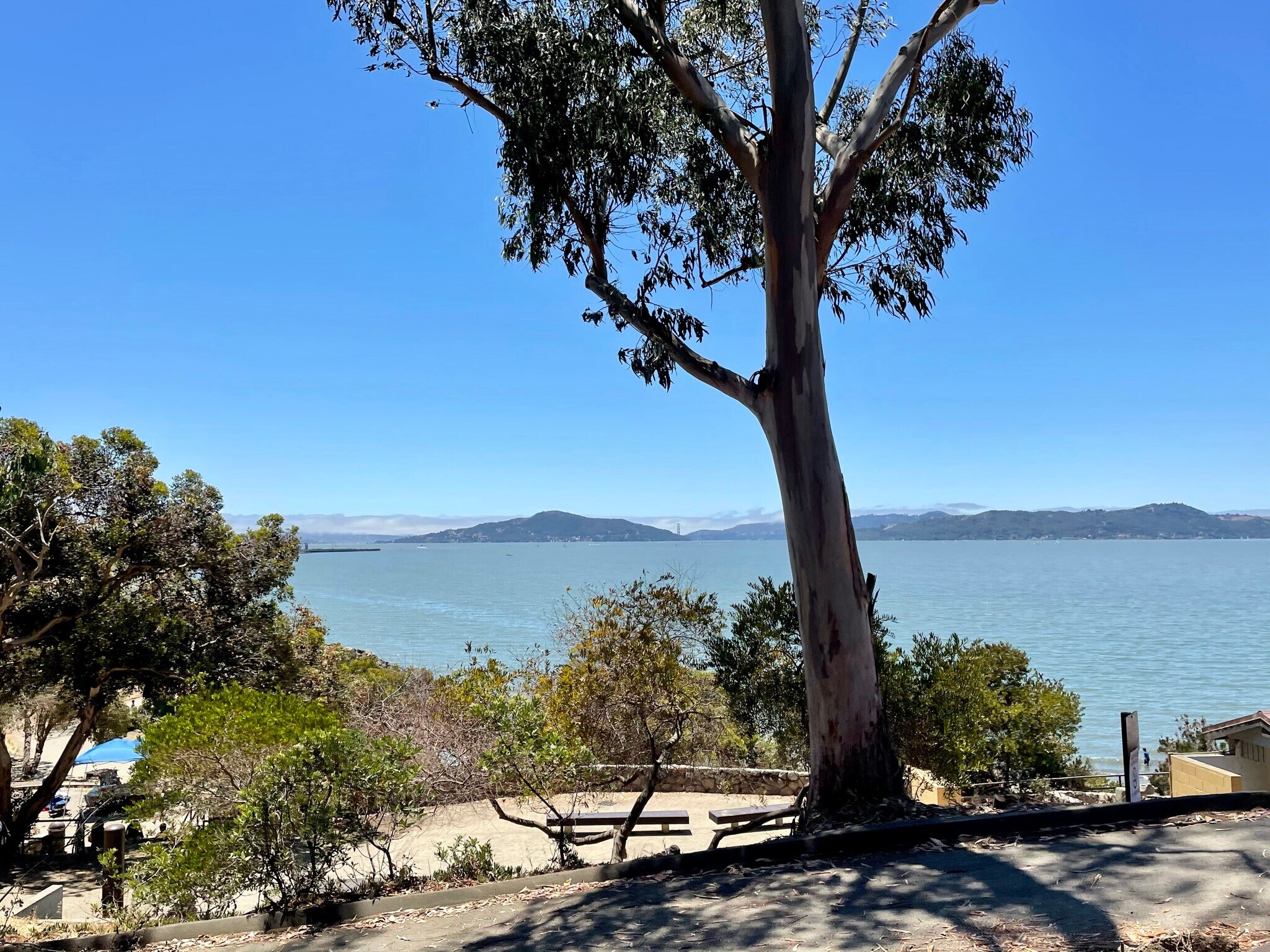 Blocks away! Unbeatable parks, views, & beaches - 411 Santa Fe Ave