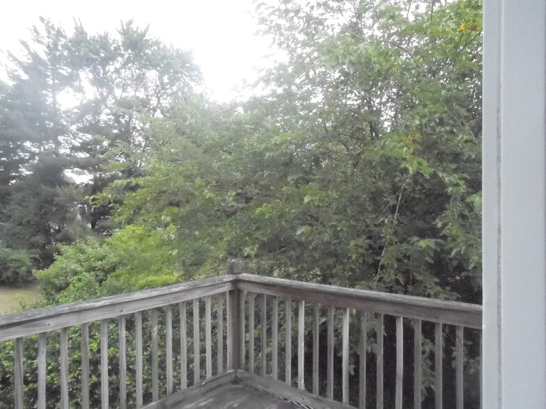 lots of trees and green - 172 Wicks Rd