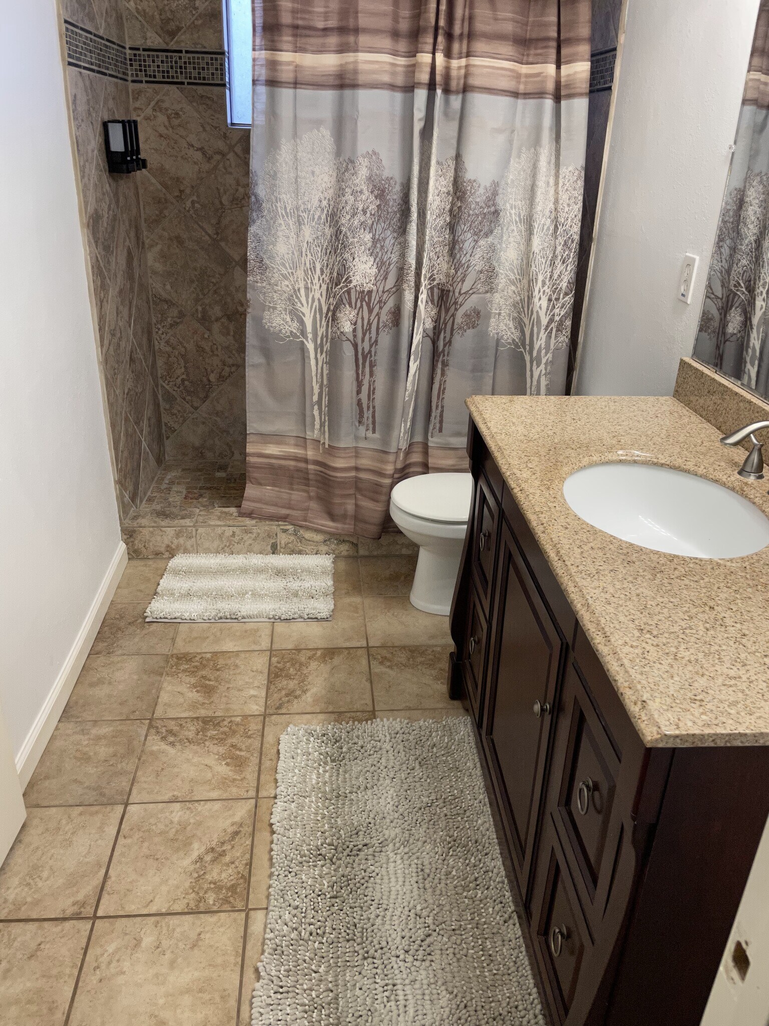 Ensuite Main Bathroom and walk-in shower - 11500 February Drive