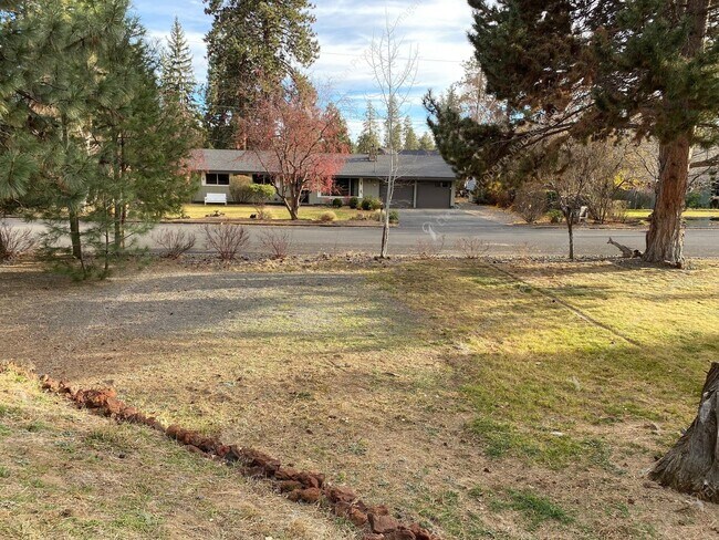 Building Photo - Mid-Century Modern Courtyard Gem in the Old Farm District