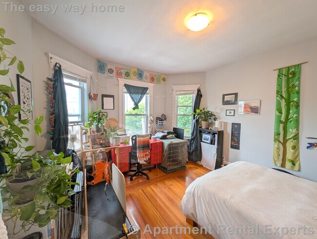 Building Photo - 41 Belknap St