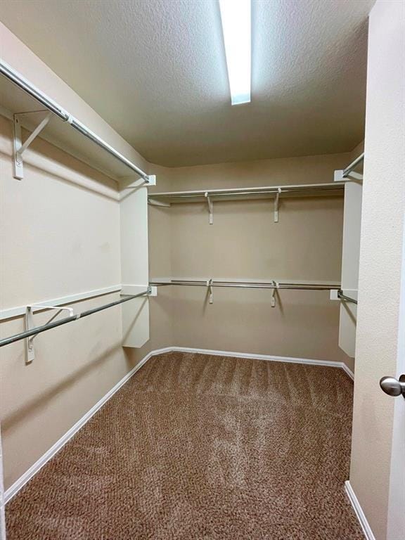 Building Photo - 376 Spruce Dr