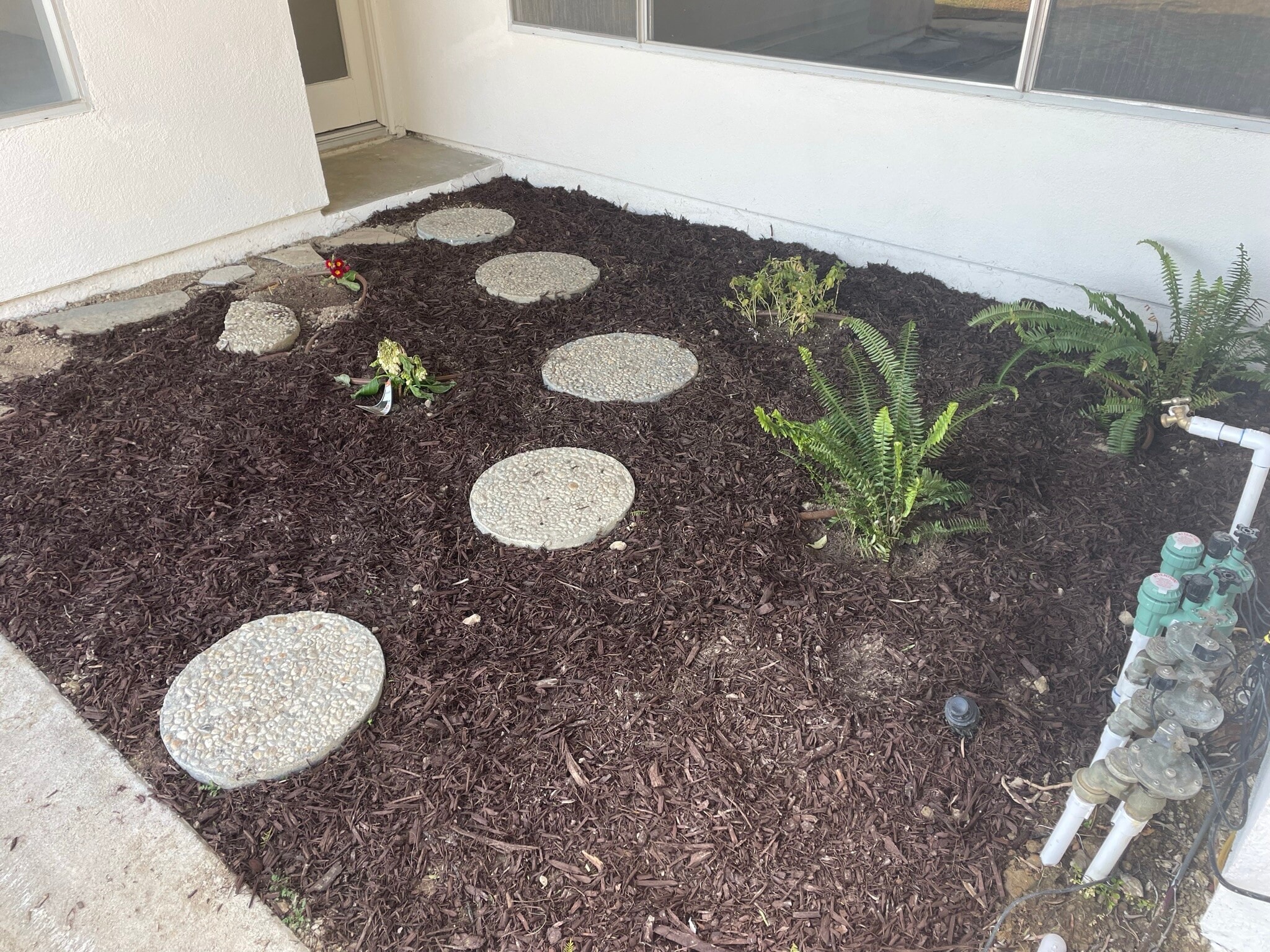 Shade Garden - 6052 Pat Ave