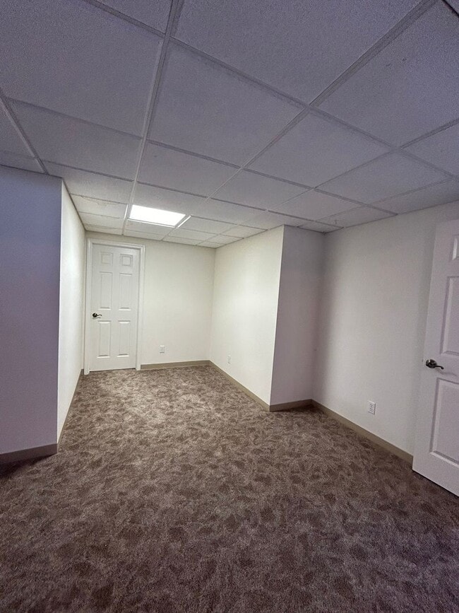 Building Photo - Spacious Daylight Apartment in Hamilton