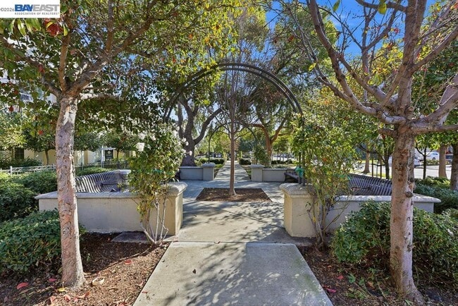 Building Photo - 40203 Antigua Rose Terrace