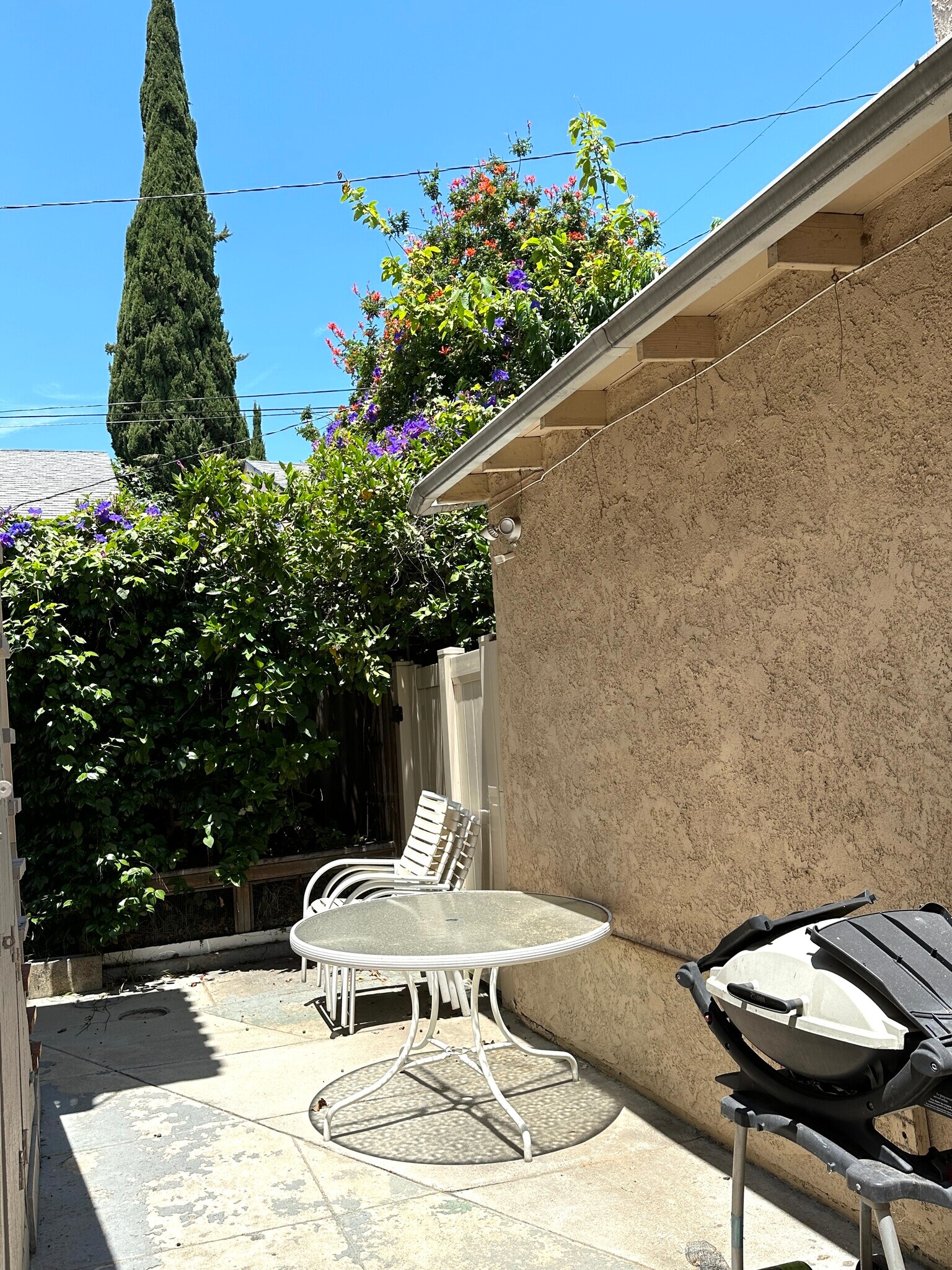Common Back Area BBQ - 1138 N Gardner St
