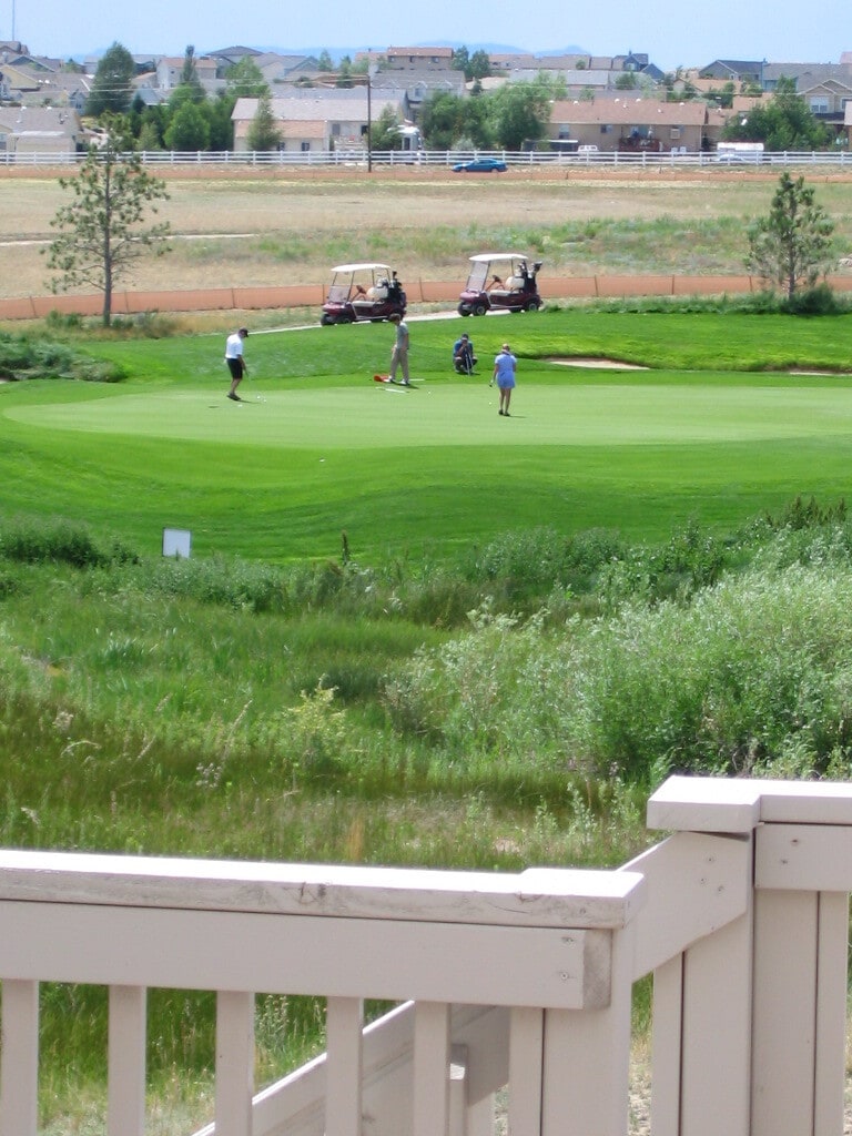 View from rear deck - 9904 Antler Creek Dr