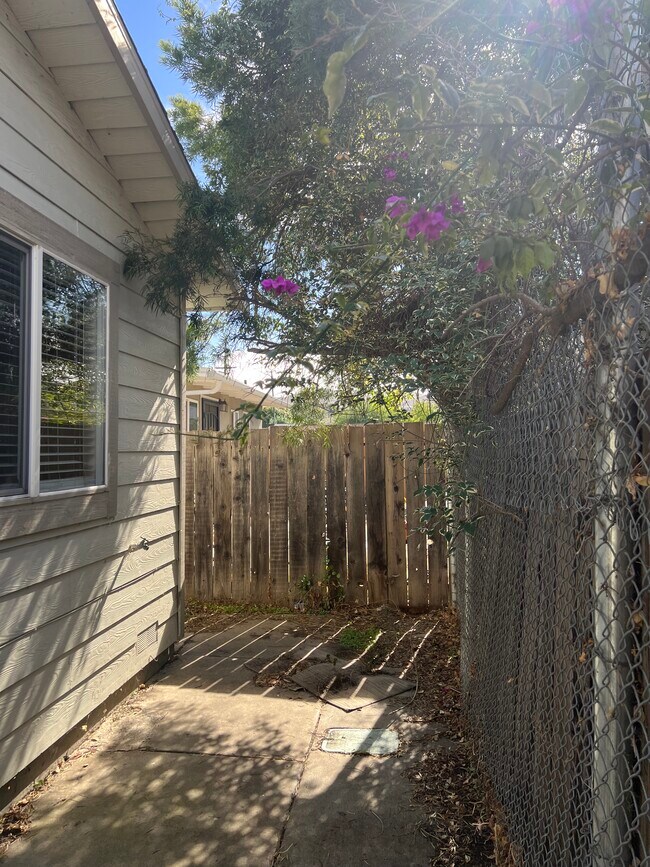 Building Photo - 58 Marys Ave