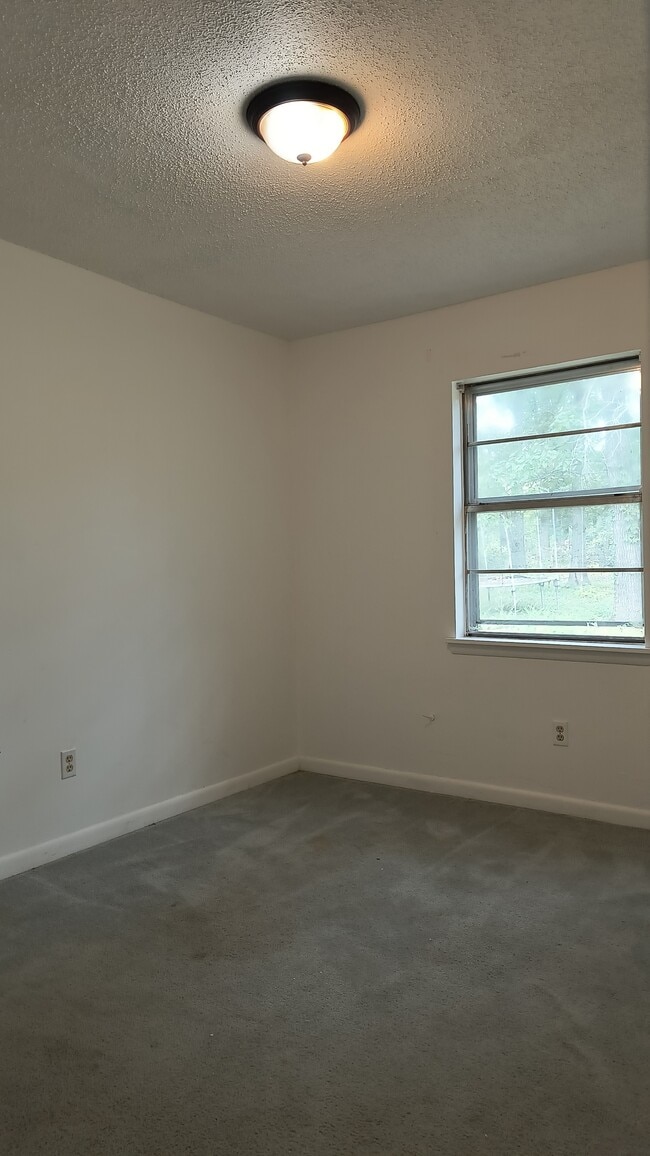 Building Photo - 1205 Ruby Dr