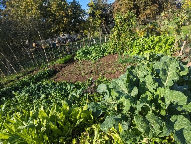 Building Photo - 19105 NE 112th Ave