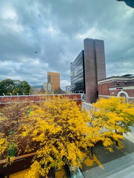 Building Photo - 11 Tetlow St