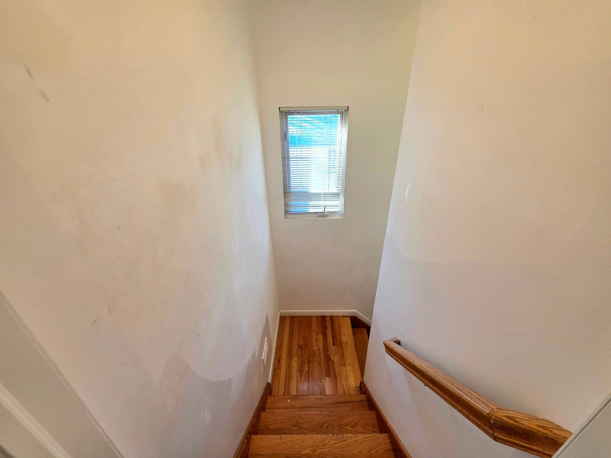 Building Photo - 40 Carlton Ave