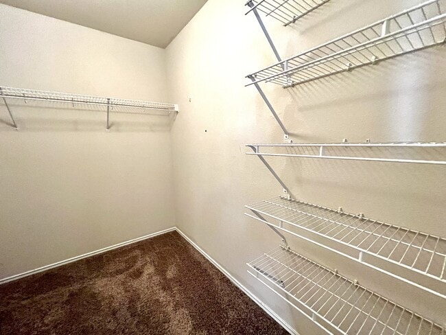 Building Photo - 1505 Merrell Cove