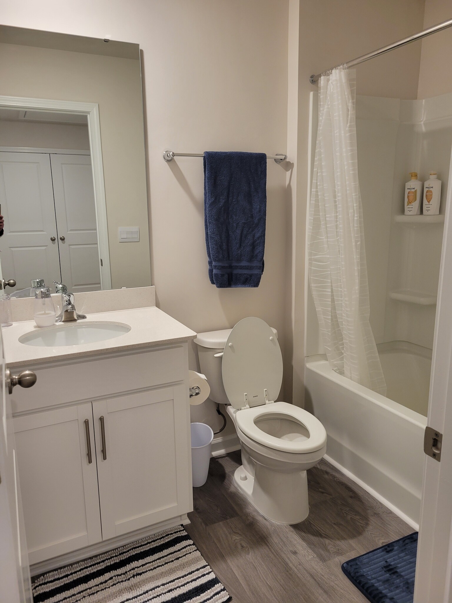 Primary 2nd floor bathroom with tub - 3010 Alibird Cir