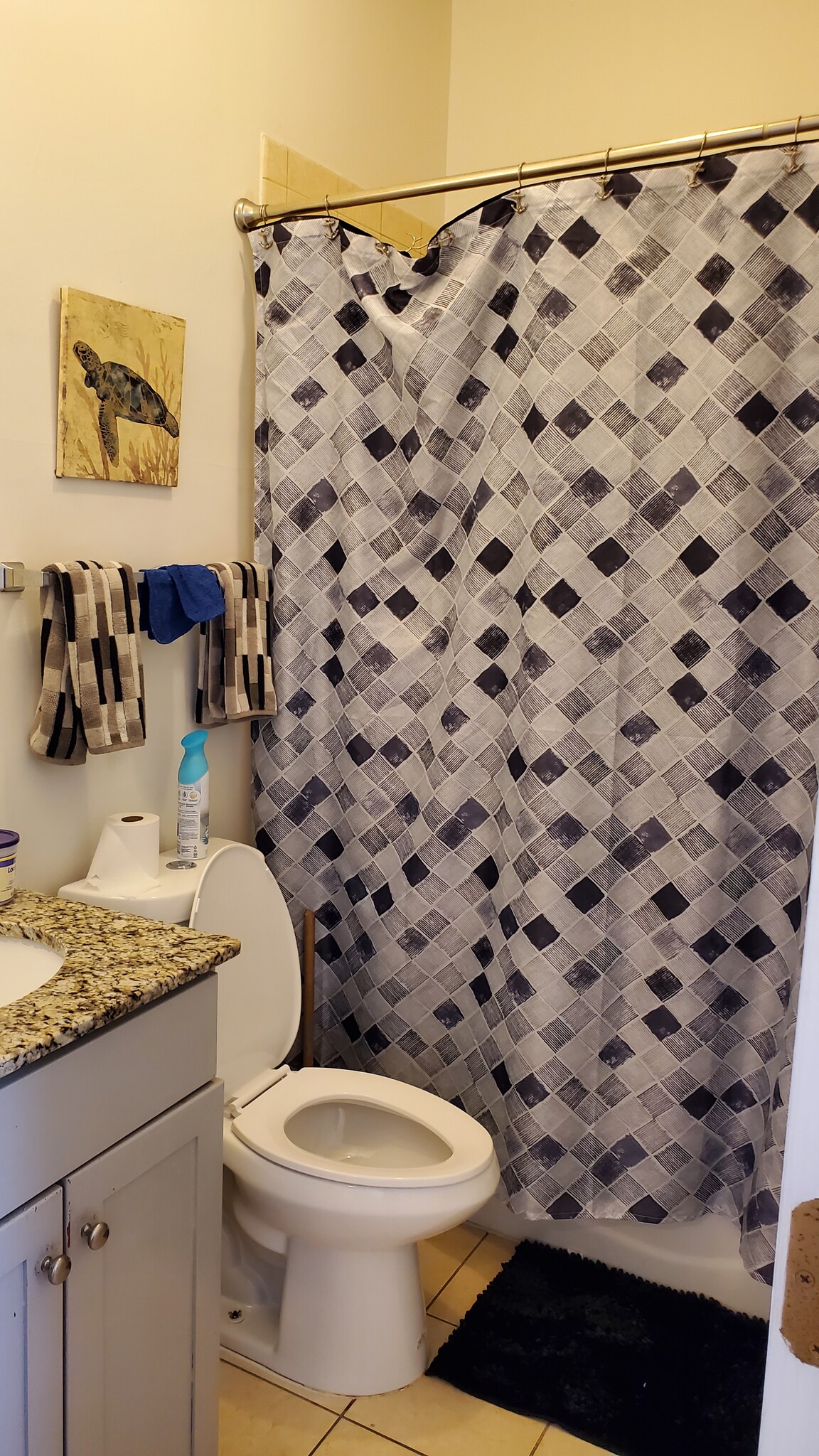 Bathroom - 7018 S Cornell Ave