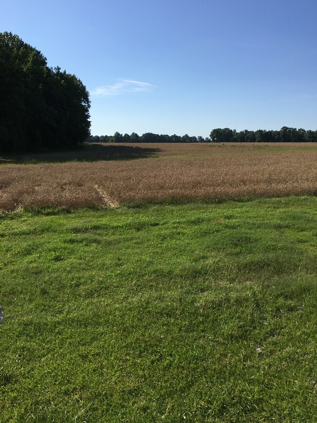 Building Photo - 2 BR, 2 BA single-wide in Pikeville *LAWN ...