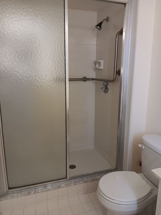 Building Photo - Sunny spot in St Pete, close to downtown & all kinds of shopping, dining