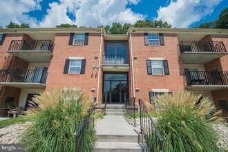 Building Photo - 803 College Ln