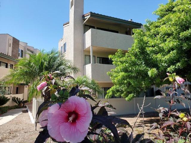 Building Photo - 2625 Pirineos Way