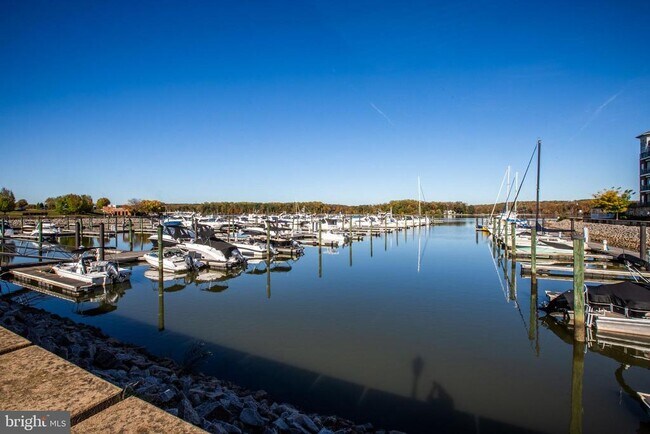 Building Photo - 830 Belmont Bay Dr