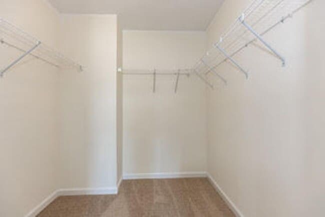 Building Photo - 429 Scarecrow Ct