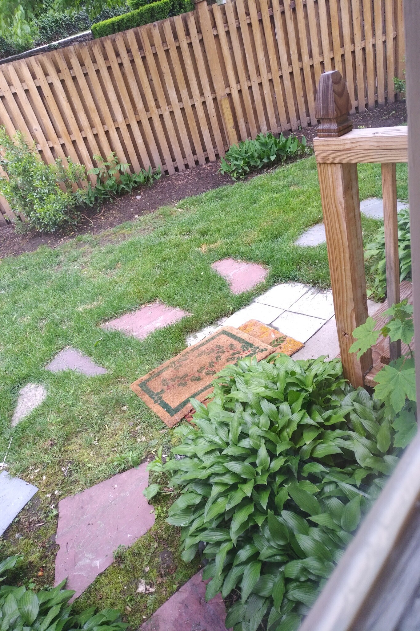 backyard - 40 Brookway Rd