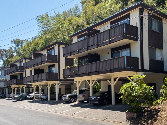 Building Photo - HUGE Stunning Remodeled 1BR/1BA Flat! Parking! -PROGRESSIVE