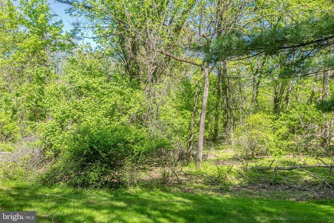 Building Photo - 56 Barberry Ct