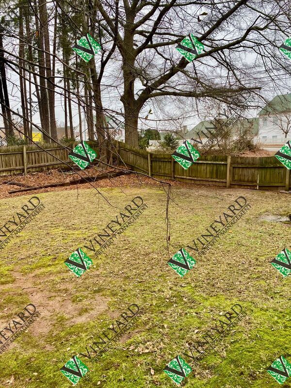 Building Photo - 78-80 Manning Road