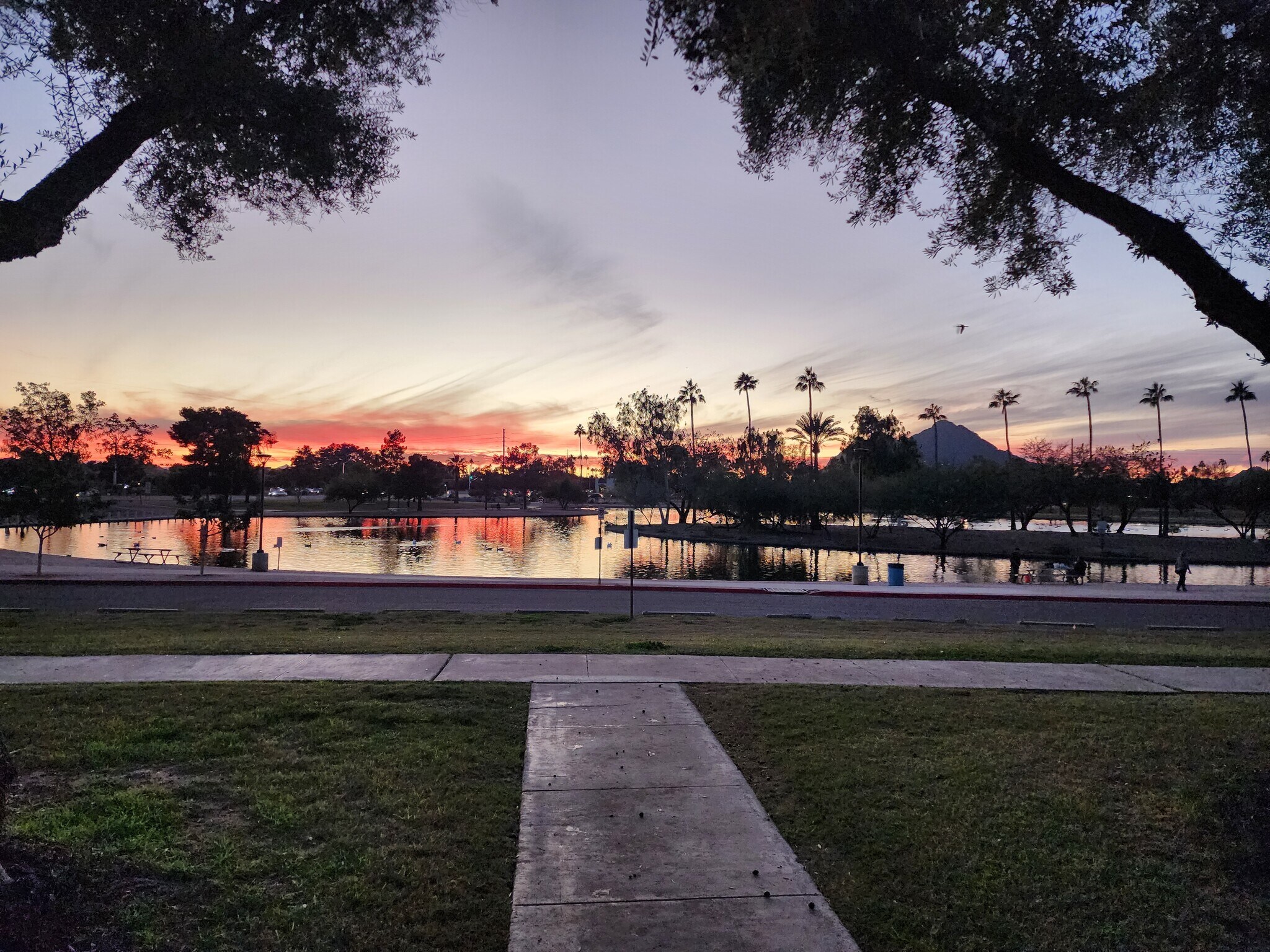 View of lake and park from front doot. - 5050 N 81st St