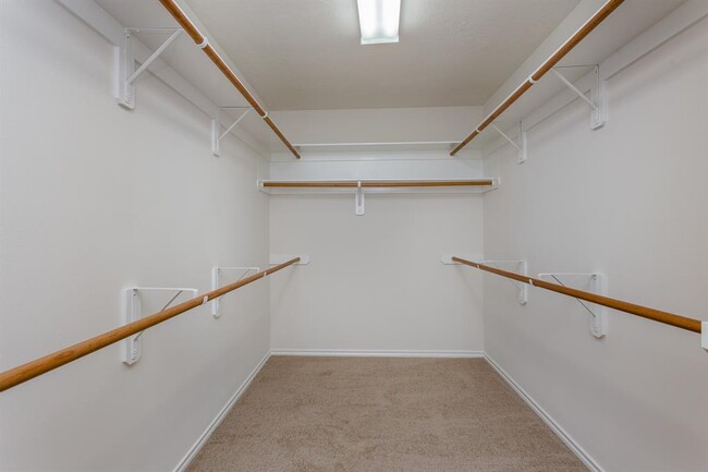 Building Photo - 138 E Spindle Tree Cir
