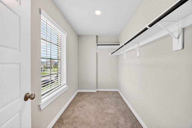 Building Photo - 21619 Coral Mist Dr