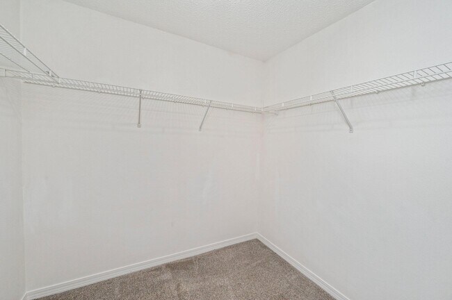 Building Photo - 2955 Sholtz Ave
