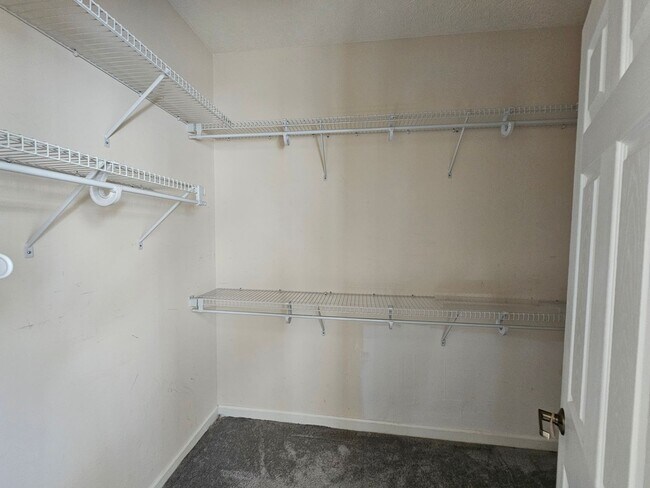 Building Photo - 413 Cypress Dr