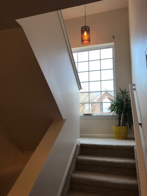 Building Photo - 3081 Promenade Cir