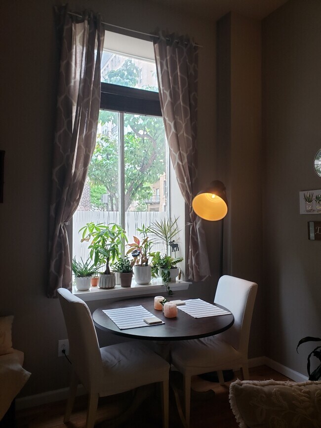 View from Front Window - 1502 Mount Vernon St