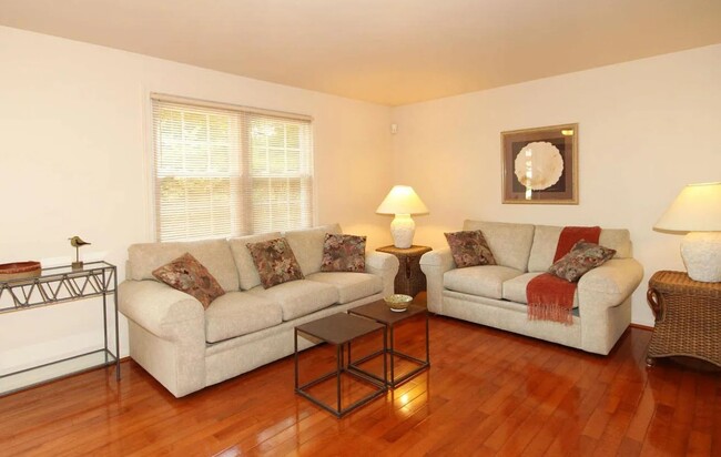 Living Room - 9053 Loreleigh Way