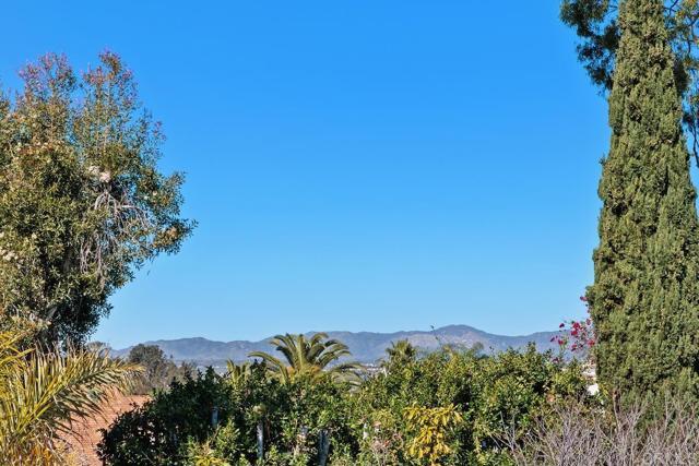 Building Photo - 1922 Sunlight Ct