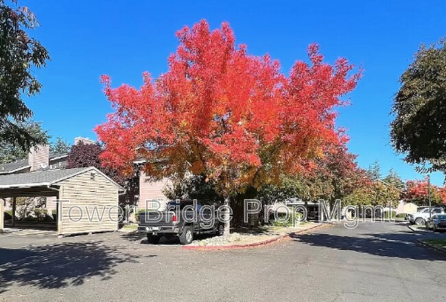 Building Photo - 11150 Trinity River Dr