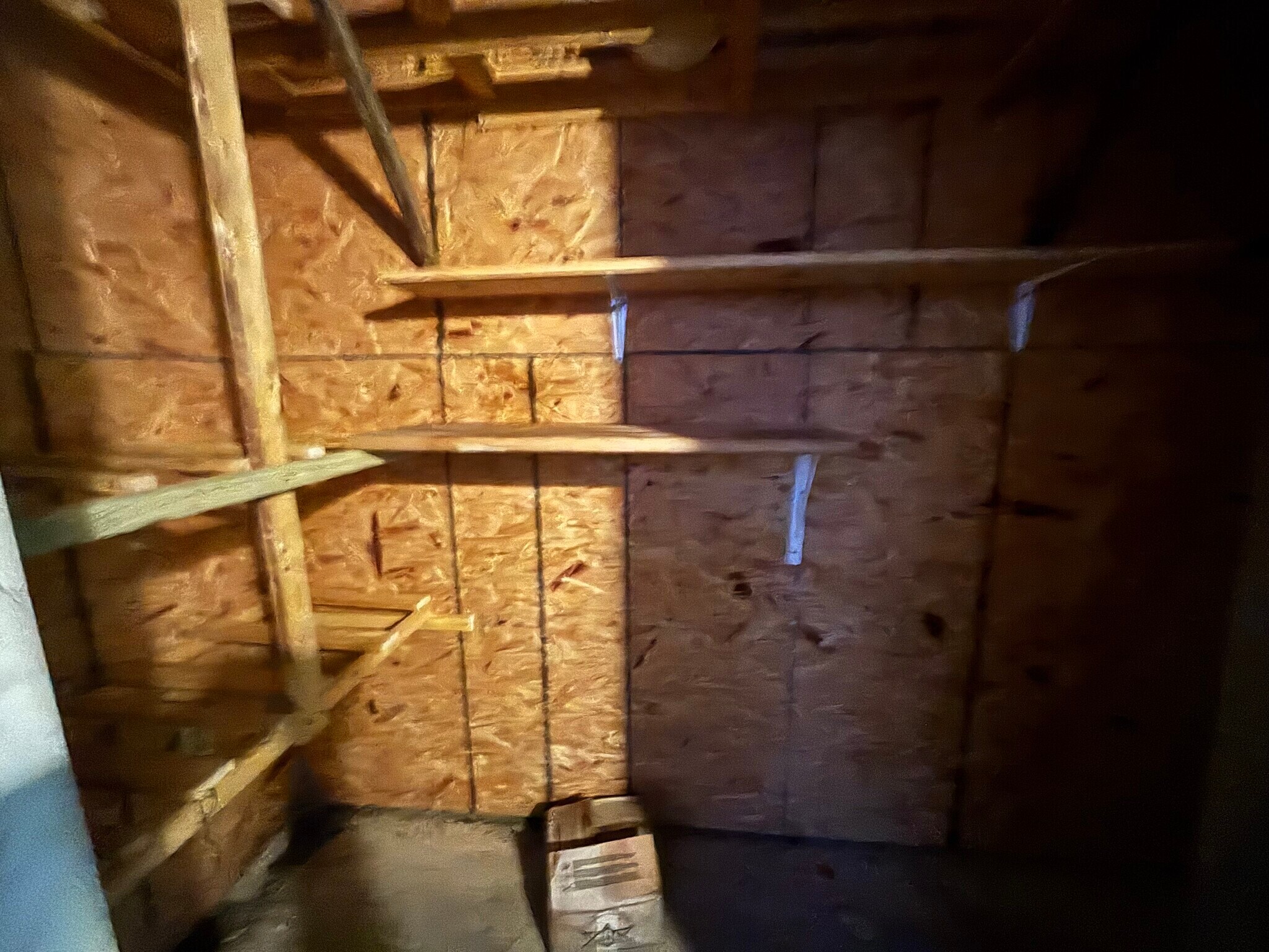 Building Photo - 256 N Berthe Ave